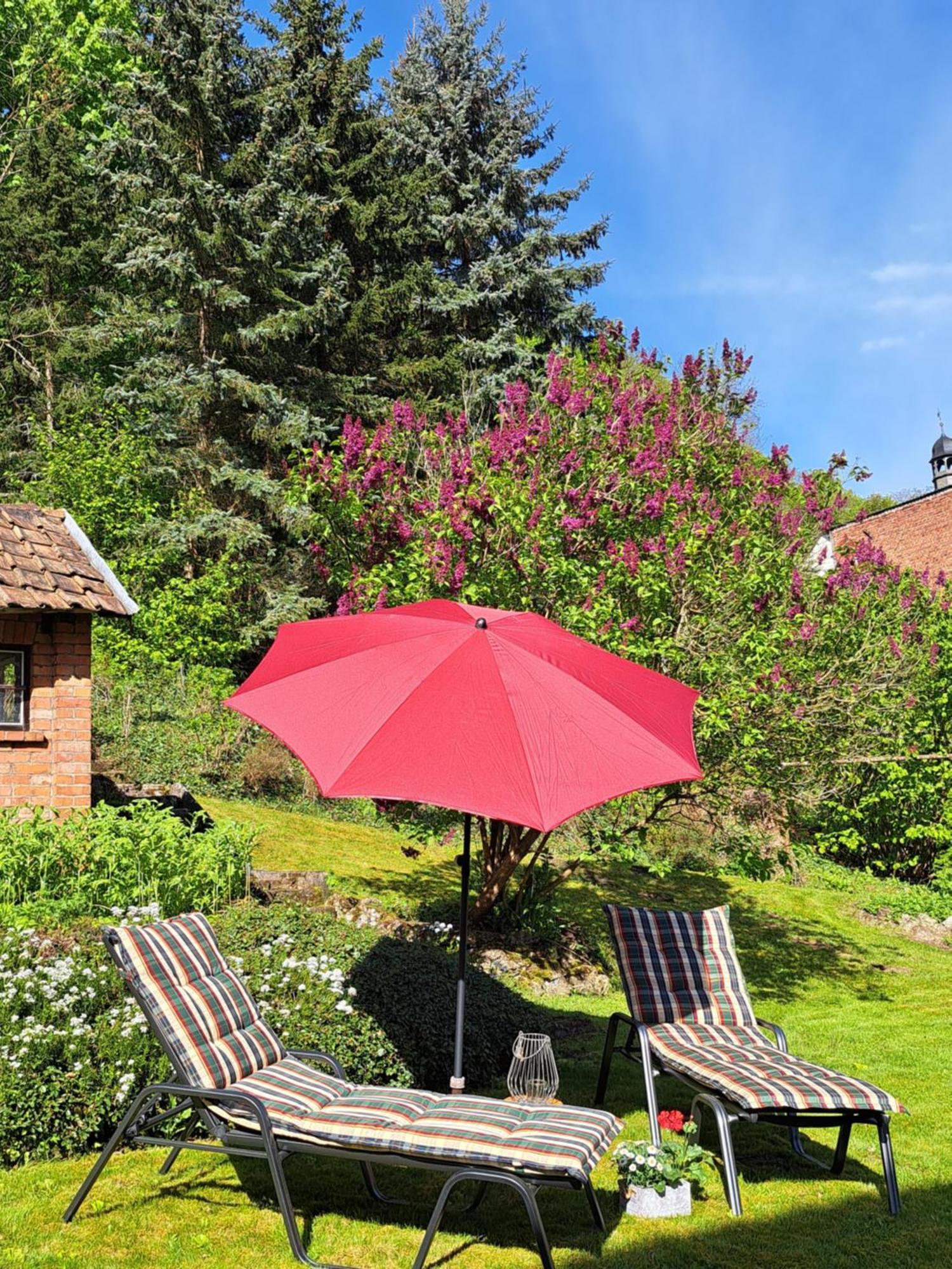 Haus Lieberum Бад-Зоден-Аллендорф Экстерьер фото